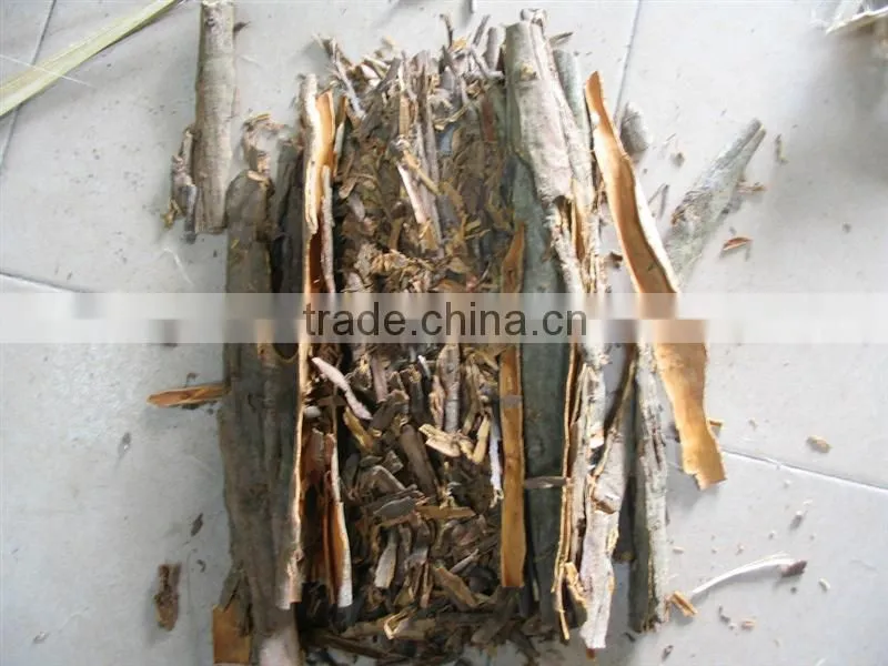 Chinese Food Crop Broken Cinnamon Cassia 2016