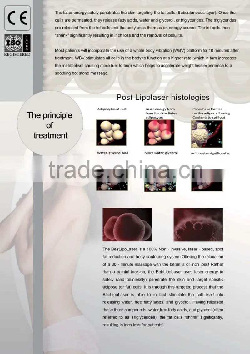 Quick slim Lipolaser slimming machine / i lipo laser weight loss belly reduce / 650nm 980nm I LipoLaser
