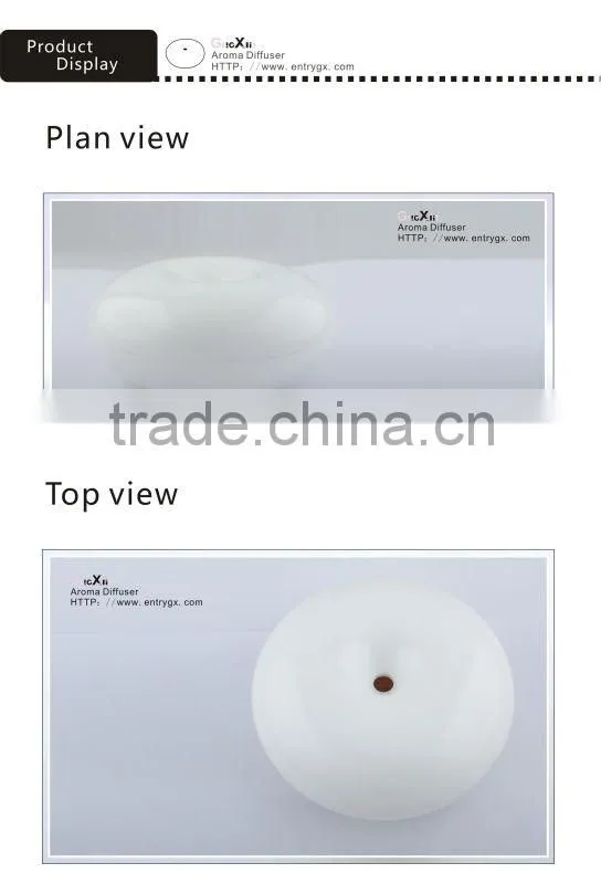 2013 Hot new ultrasonic redolence facial steamer