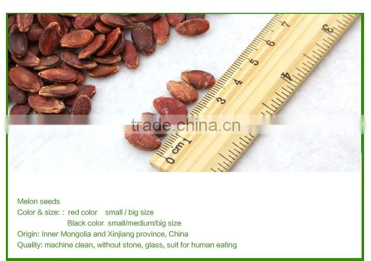 sell cheap natural style melon seeds with different size