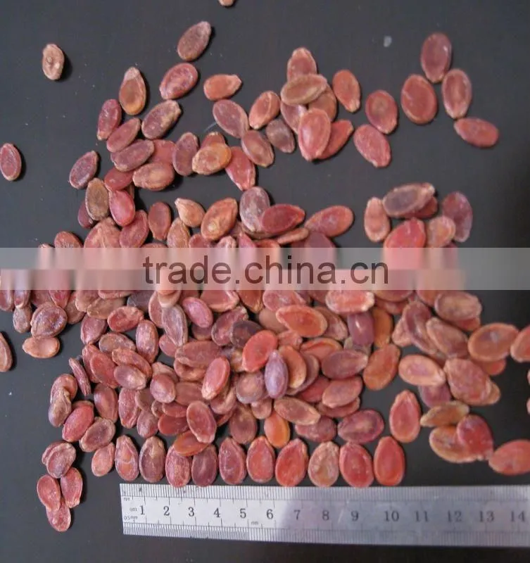 roasted and salted SNOW WHITE PUMPKIN SEEDS