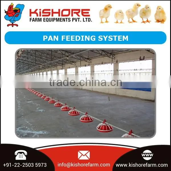 Automatic Pan Feeding System