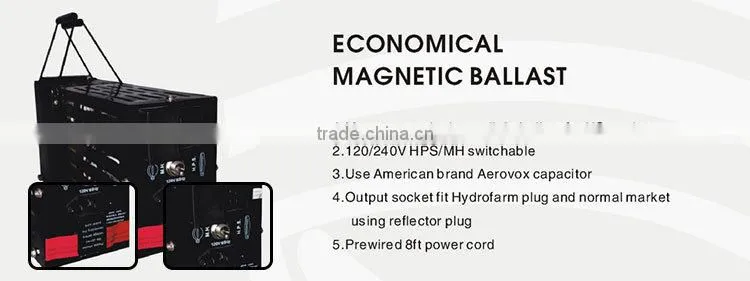 Proper price top quality 1000w light ballast