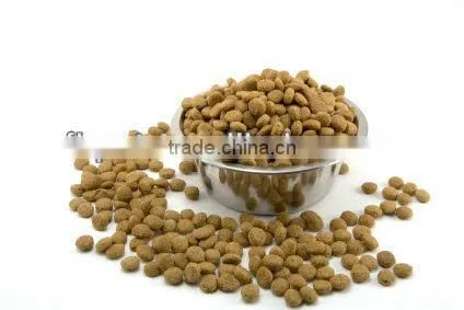 online store dog food