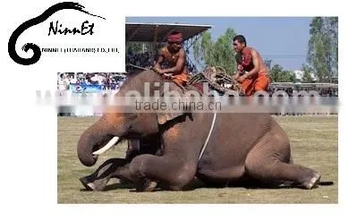 Wood Carved Elephant from Thailand