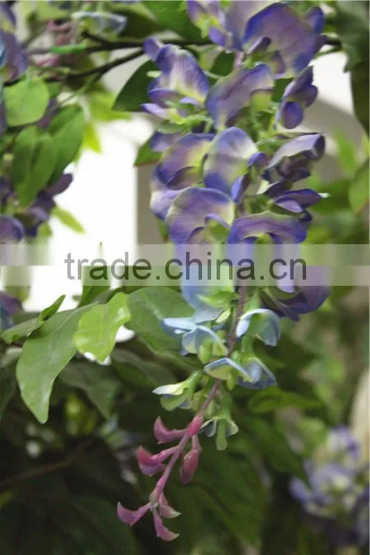 Home garden deco 50cm to 400 cm hight artificial purple large Chinese wistaria EDHS1501 1602