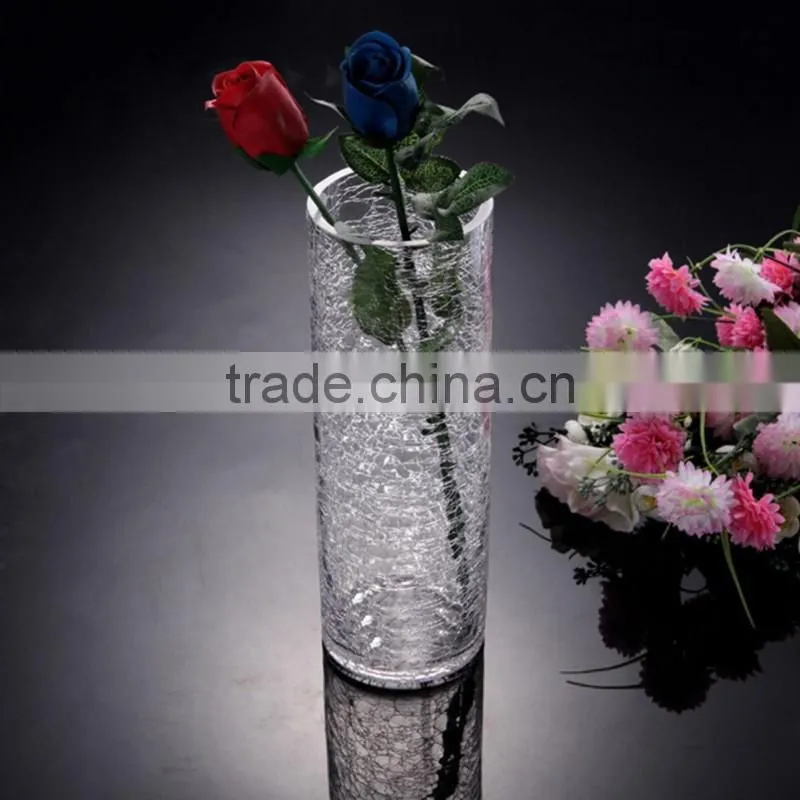 High quality fashionable glass vase for flower / clean glass vase / glass vase