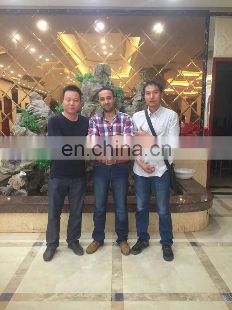 Automatic double mouth cement packer /Powder automatic packing machine