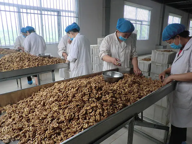 Hebei Suguo International Trade Co., Ltd. company overview - view 3