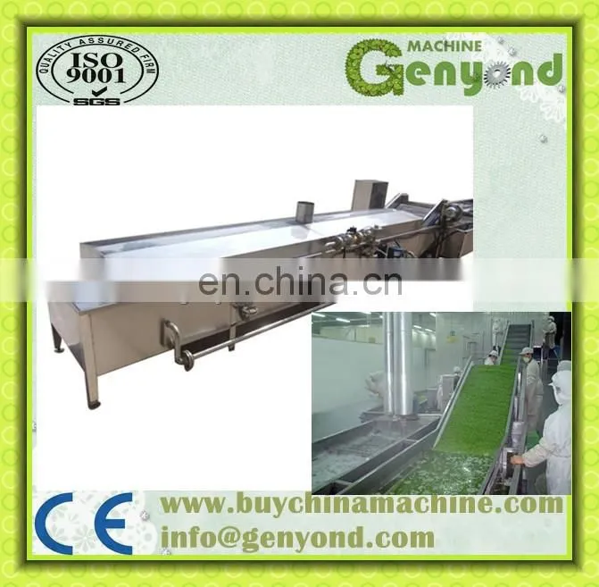 washing, cutting, blanching machine for fruit and vegetable processing line