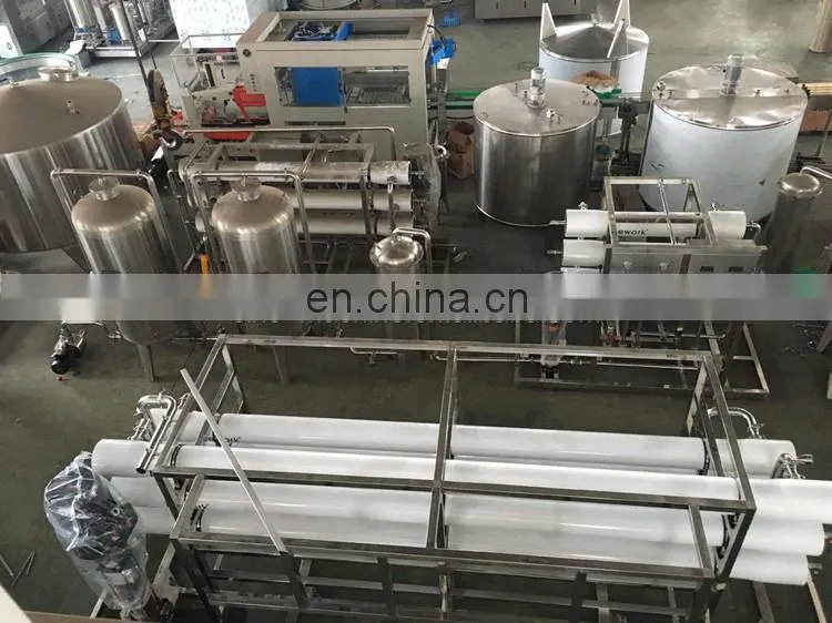 fully automatic pomegranate wine processing plant