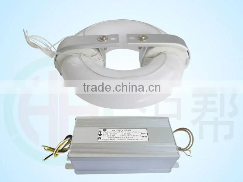 eco friendly new induction 100-300V 50W Induction Lamp light