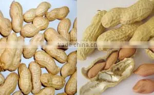 Sieving machine for peanut in shell
