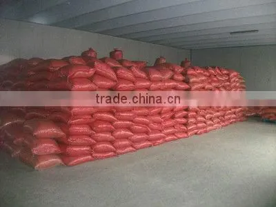 groundnut kernels peanuts