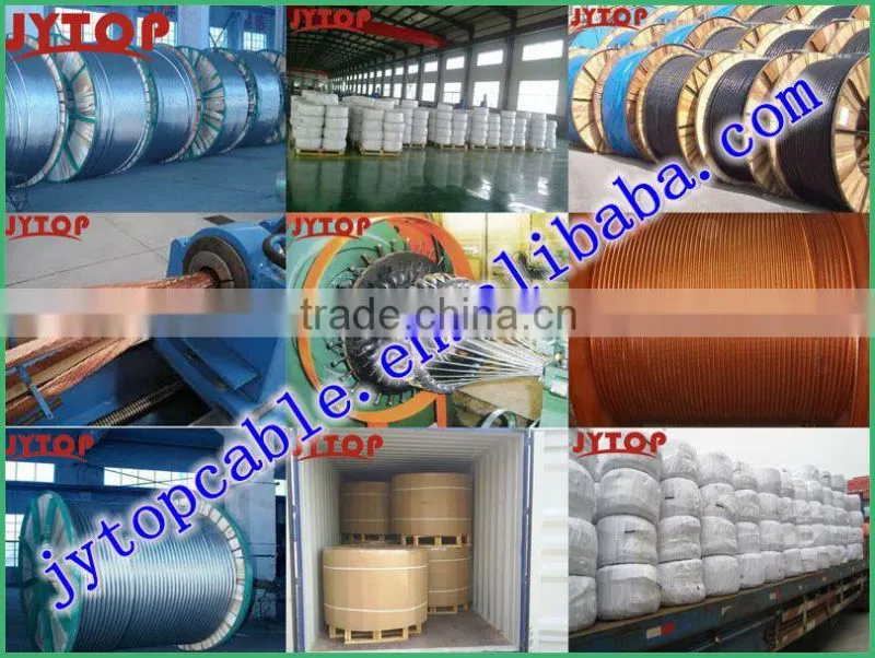 300/500V4mm2 PVC Coated PVC Sheathed Wires to BS 6004