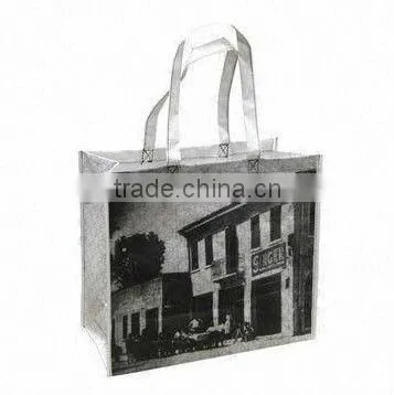 2013 Fashion PP shopping bag