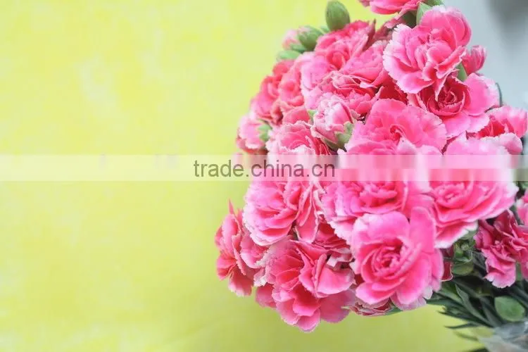 Good smell hot sale fresh cut carnations and roses