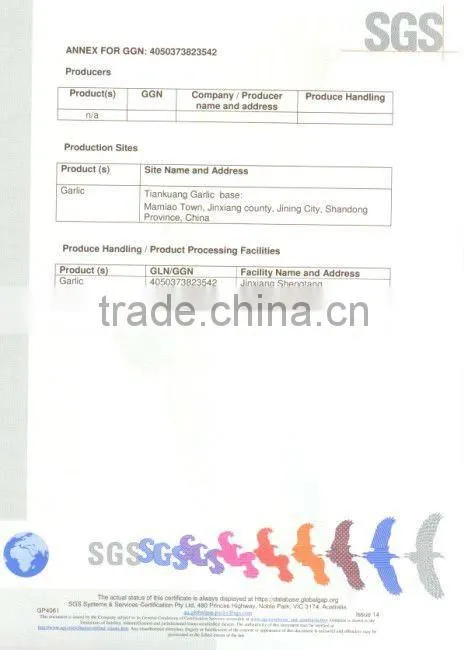 dehydrated ginger slice made in China