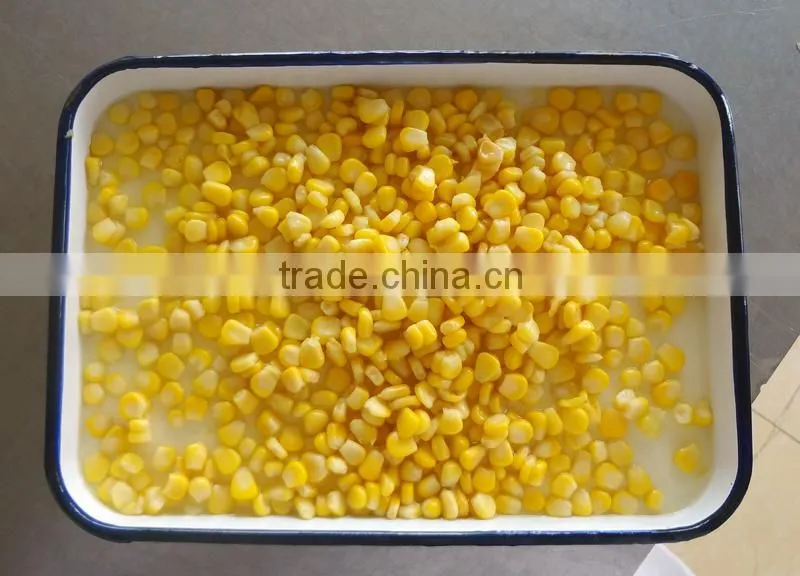 Export Canned Sweet Yellow Corn 340gx24tin