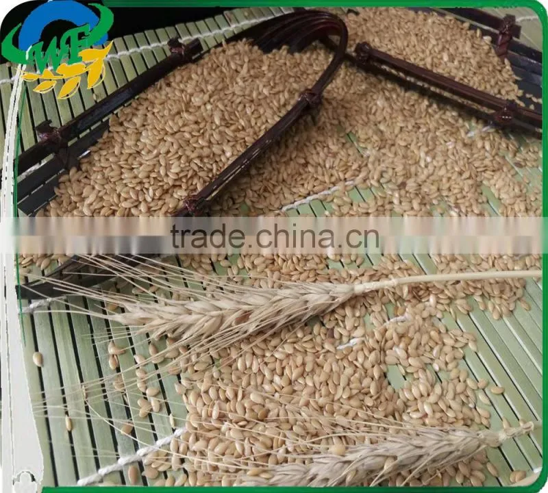 Golden and brown flax seed