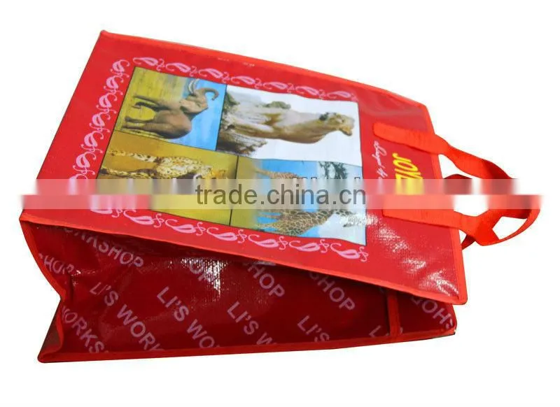 pp zipper shopping bag with nylon handle pvc binding(2W-2043)