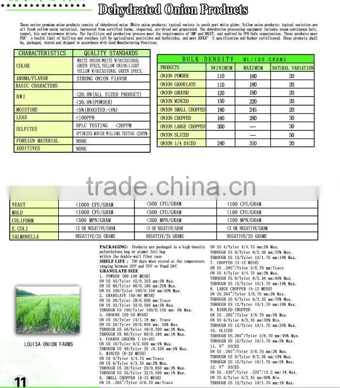 Dehydrated Onion minced powder (6-20 Mesh)