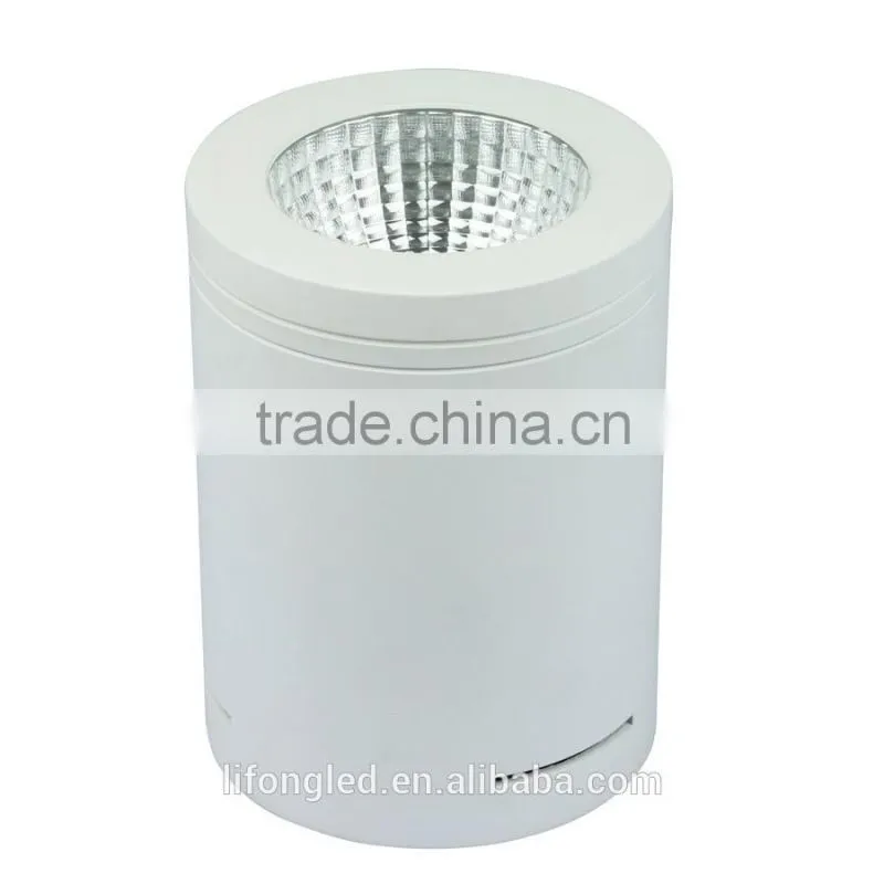 warm white pure white cool white Color Temperature(CCT 12w cob led down light
