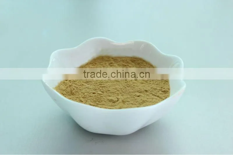 Organic White Tea Powder