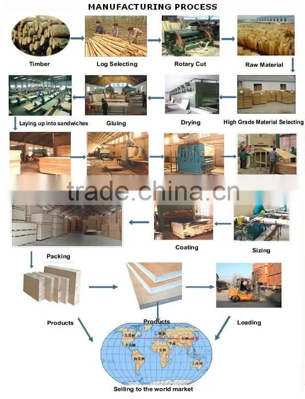 VERY CHEAP CORE VENEER VIETNAMMESE TROPICAL HARDWOOD FOR MAKING PLYWOOD