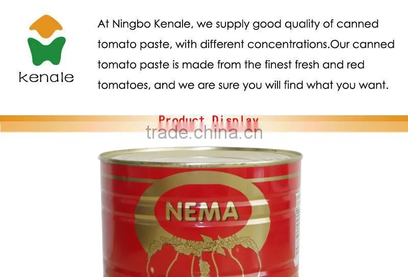 Best tomato Paste price with Tin Packing concentrate 2200gX6tins