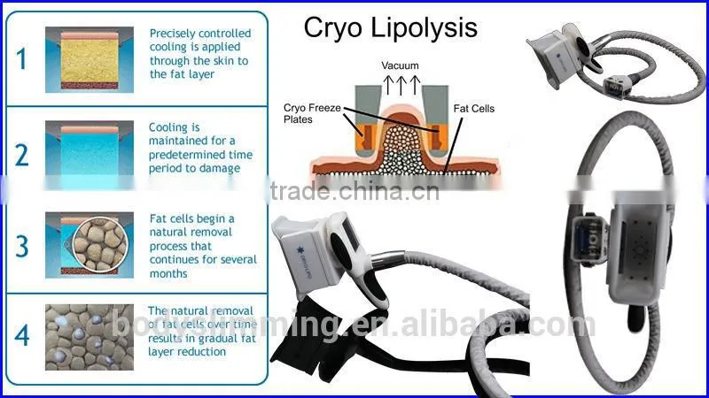 Vacuum Roller Massage & Cryolipolysis Frozen Fat Slimming Machine Increasing Skin Elasticity Equipment