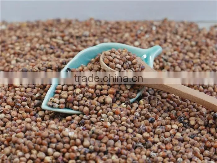 2016 non-GMO Organic glutinous red sorghum sticky sorghum