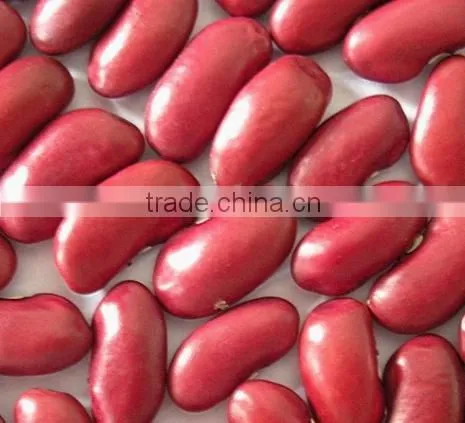 British Red Kidney Beans Crop 2015