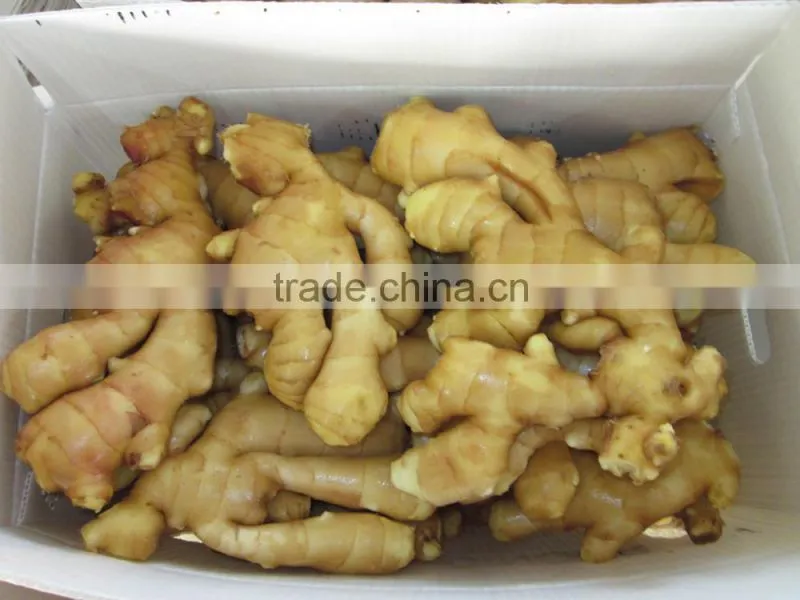 2014 new crop top quality fresh ginger market price for ginger