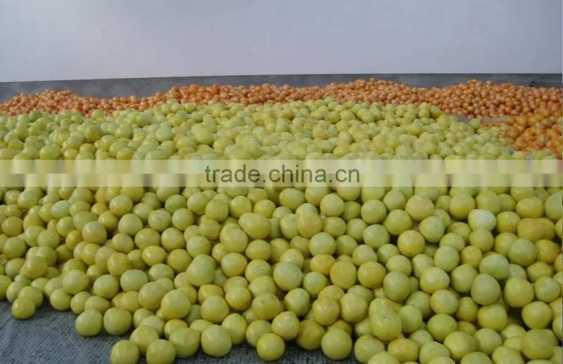 Customers buy sour fresh honey pomelo from China