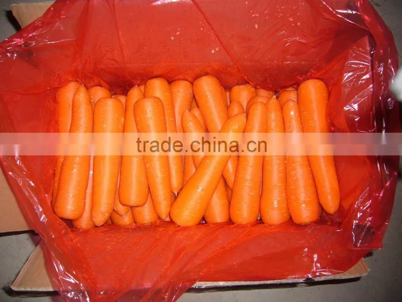 china fresh carrot price 2012 new crop