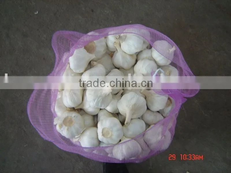 chinese pure white garlic for EU