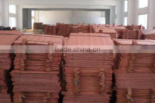 high quality copper cathode hot sale (B54)
