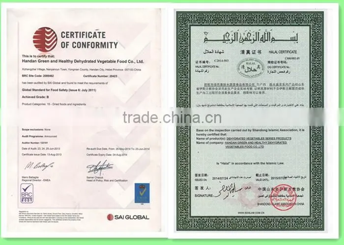 Milky white dried garlic baked powder, good garlic powders from Yongnian, China
