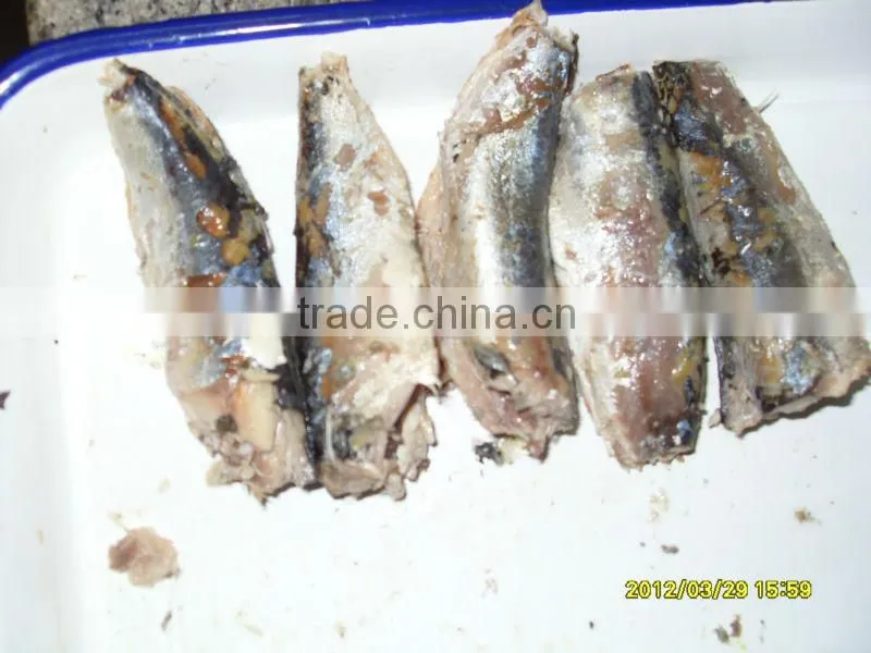 canned mackerel in oil