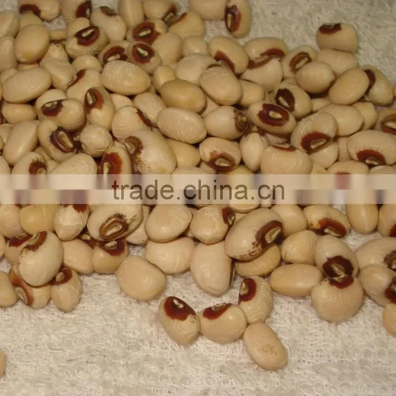 JSX Quality bean 2016 crop cooking with black beans selected Grade A white cowpea