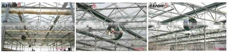 DJF(g) series greenhouse air circulation