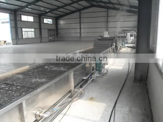 Pasteurizing Equipment Rollaround-type Blanching Machine
