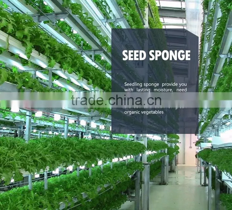Agricultural Hydroponic Grow Systems foam tray seed