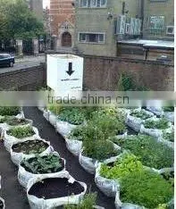 Greenhouse grow bag for plants