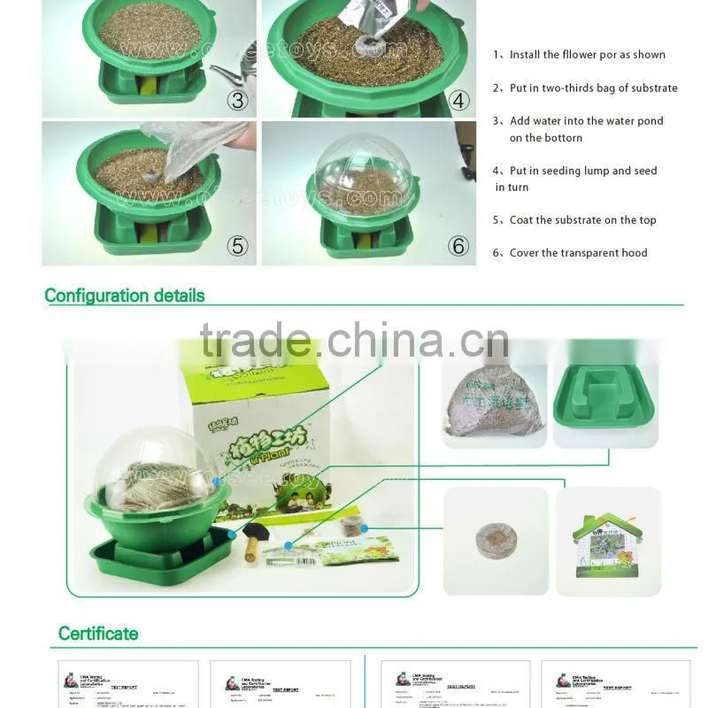 2016 New Product Plants Indoor Kit Kids Toys
