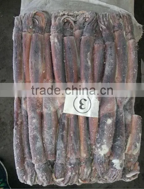 price of illex squid pineapple