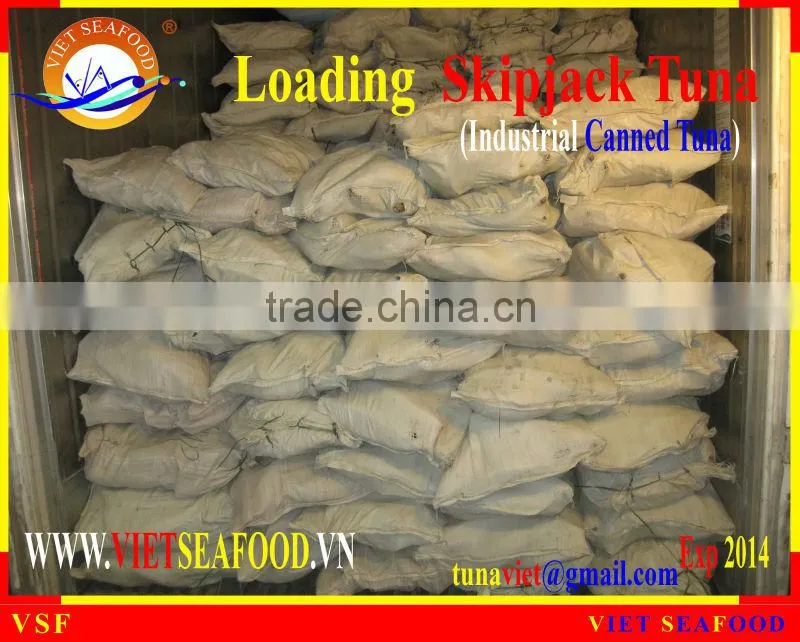 LOADING SKIPJACK TUNA W/R