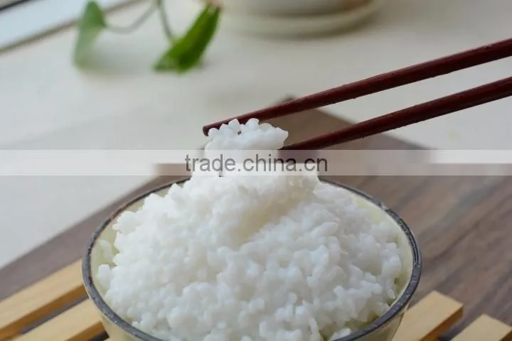 Low calories diet food, shirataki konjac pasta,vegan instant noodles like real rice