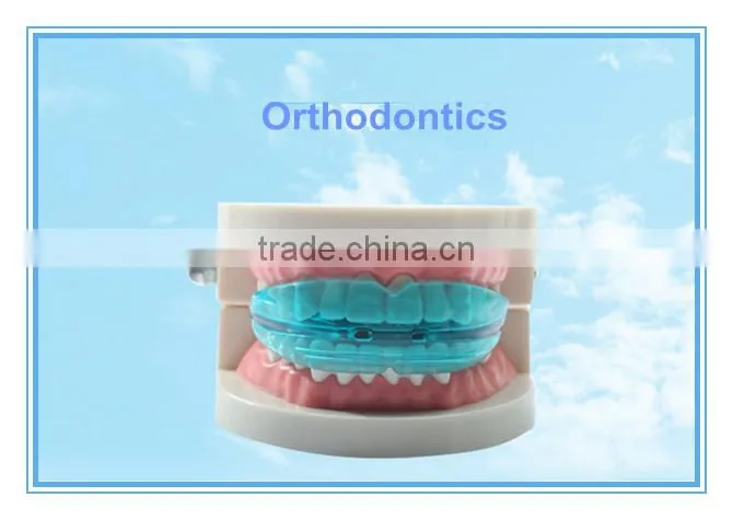 Best selling Orthodontics for tooth/teeth trainer